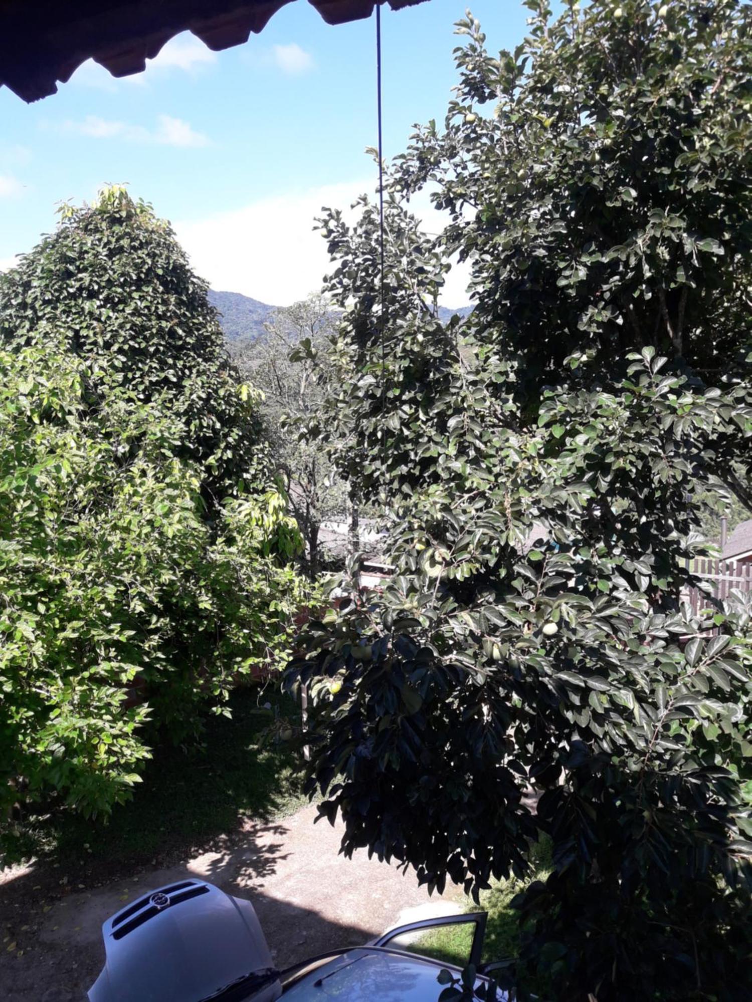 Alta Vista Villa Penedo  Luaran gambar